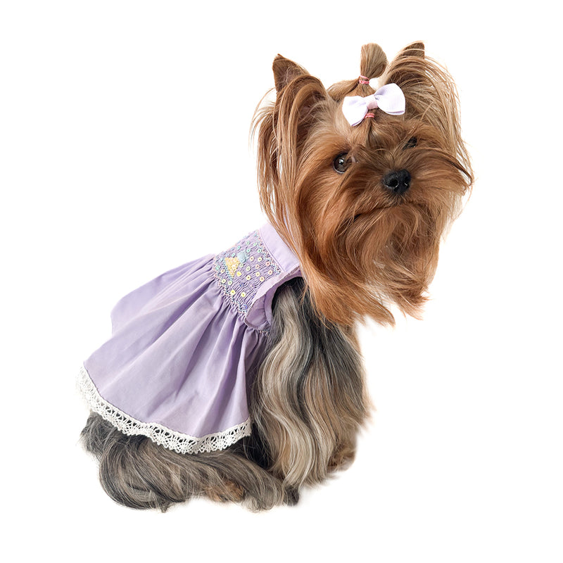 Gifted Birthday Girl Hand-Smocked Dress ( 2025 Collectors Edition )