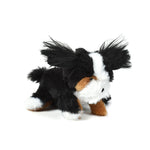 Bernese Mountain Dog Pipsqueak Toy